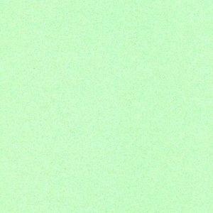 Meet your Posher, Rose